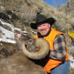 2013 Jim Butz Big Horn Sheep