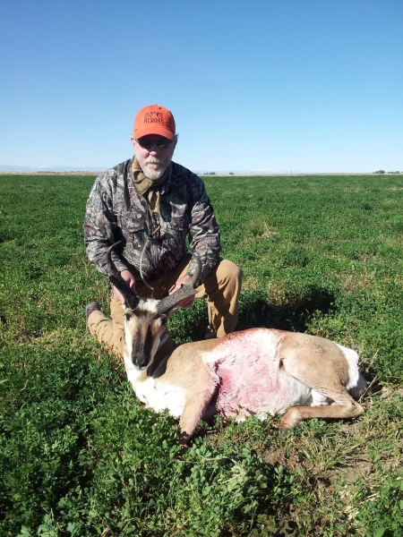 2015 Stuart Hamilton Antelope