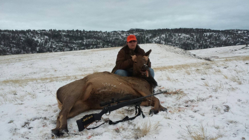 2015 Katie Davison Elk