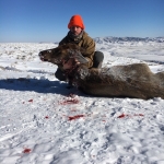 2016 Hero Anthony Grimaldi Cow Elk