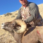 2016 Hero Ron Nading Big Horn Sheep
