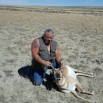 2016 Hero Badger Antelope