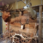 Brian's Mounts