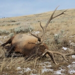 Hunting with Heroes Wyoming 2018